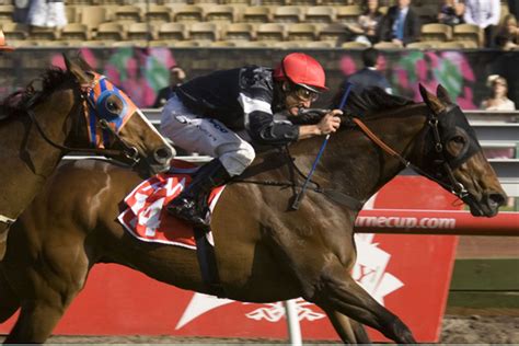 2021 Chatham Stakes: Race History .